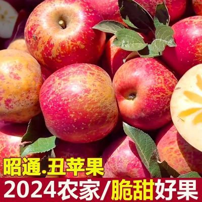 PDD热销产品汇总14点档更新2024/11/04