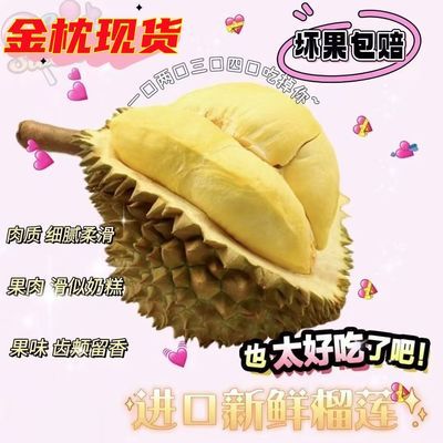 PDD热销产品汇总14点档更新2025/09/19
