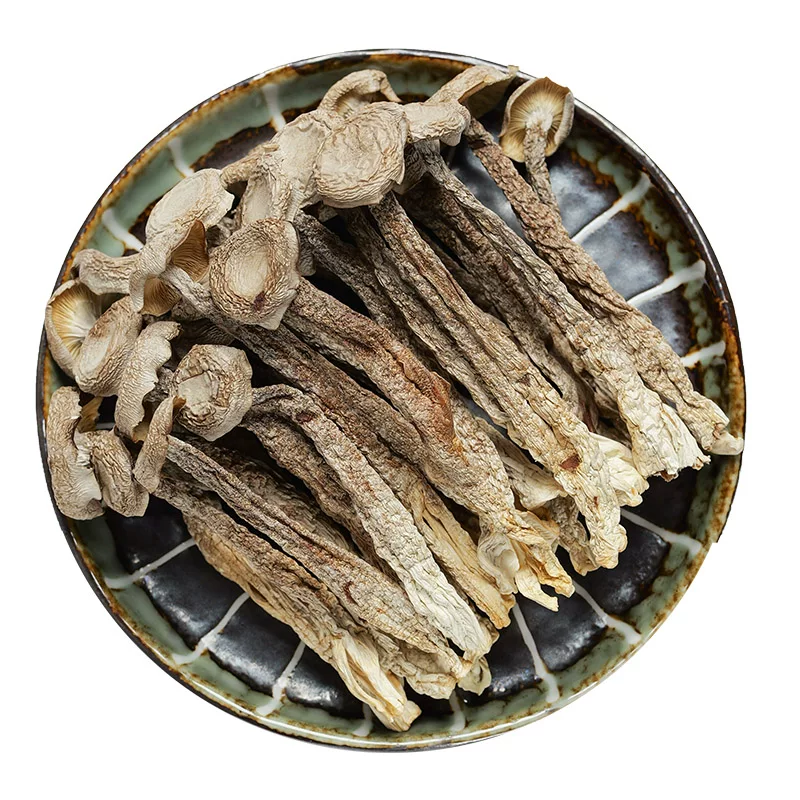 食膳康鹿茸菇干货100g