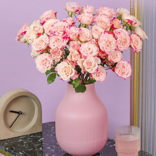 34.9元包邮！京东鲜花 玫瑰鲜花 多头折射玫瑰10枝