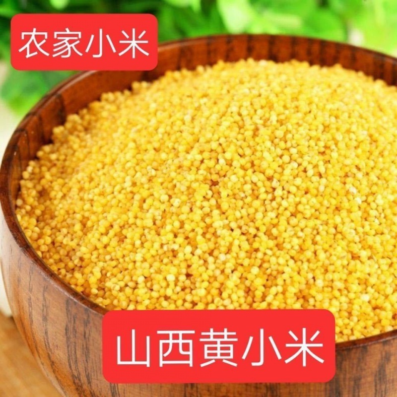 山西黄小米真空装