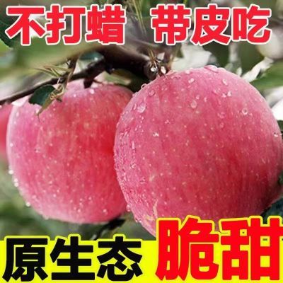 PDD热销产品汇总14点档更新2024/04/13