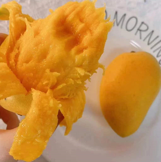 22.9元包邮！小台农芒果10斤