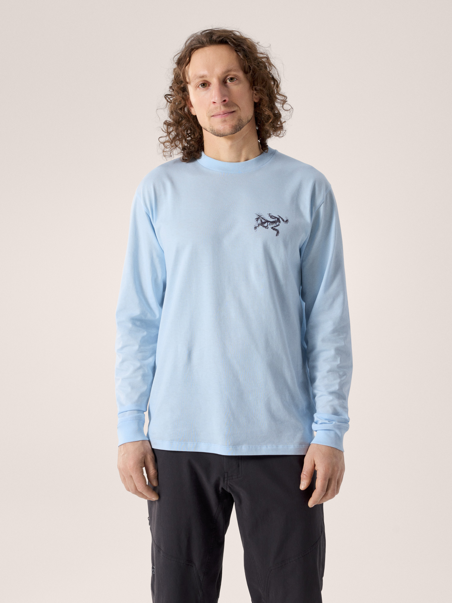Arcteryx Kragg SL Cotton Bird Tile Shirt LS 始祖鸟男士长袖T恤