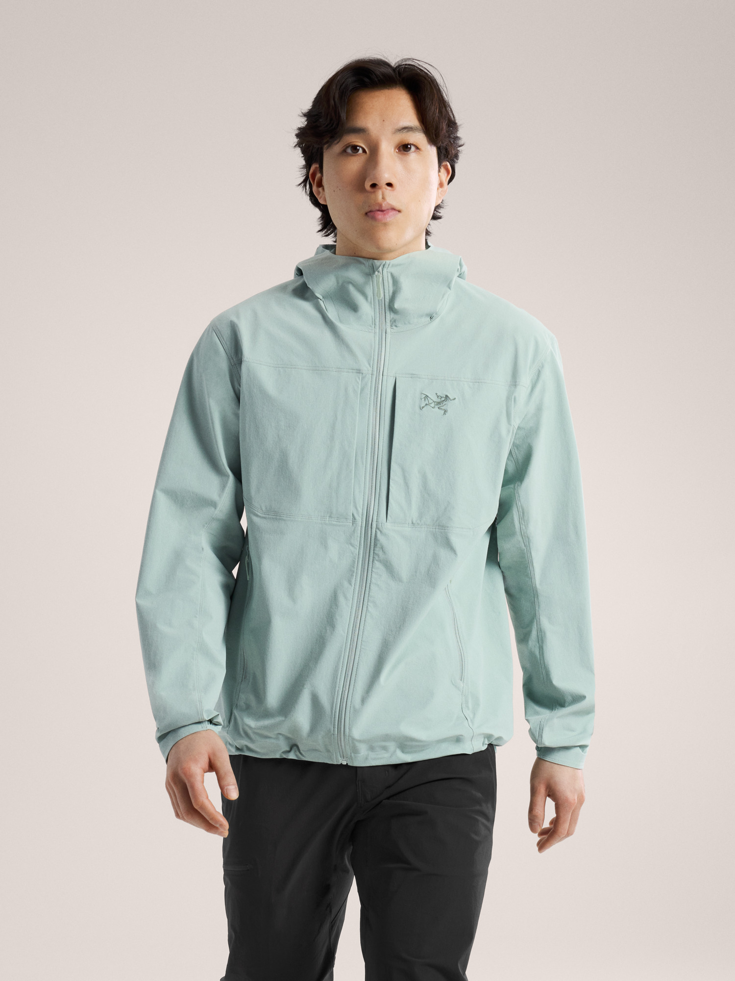 Arcteryx Gamma Lightweight Hoody Men's
