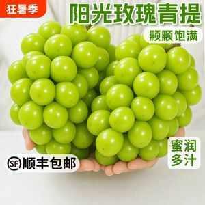 阳光玫瑰葡萄脆甜青提无籽晴王新鲜冷链保鲜当季水果鲜果现摘尝鲜