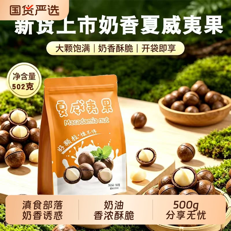 大果！大果！夏威夷果500g袋装