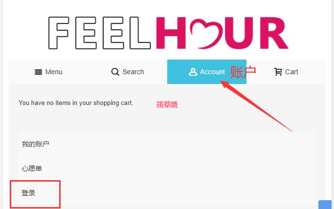 香港美妆护肤网站Feelhour海淘攻略，详细注册下单购物付款教程