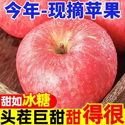 PDD热销产品汇总08点档更新2024/10/18
