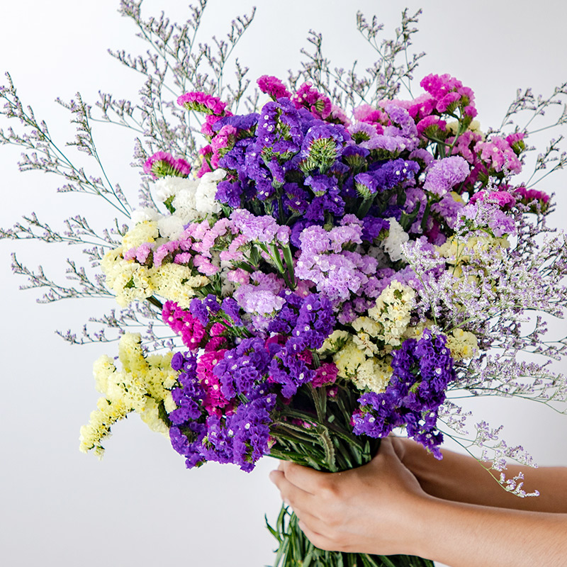 情人节礼物【勿忘我干花花束】