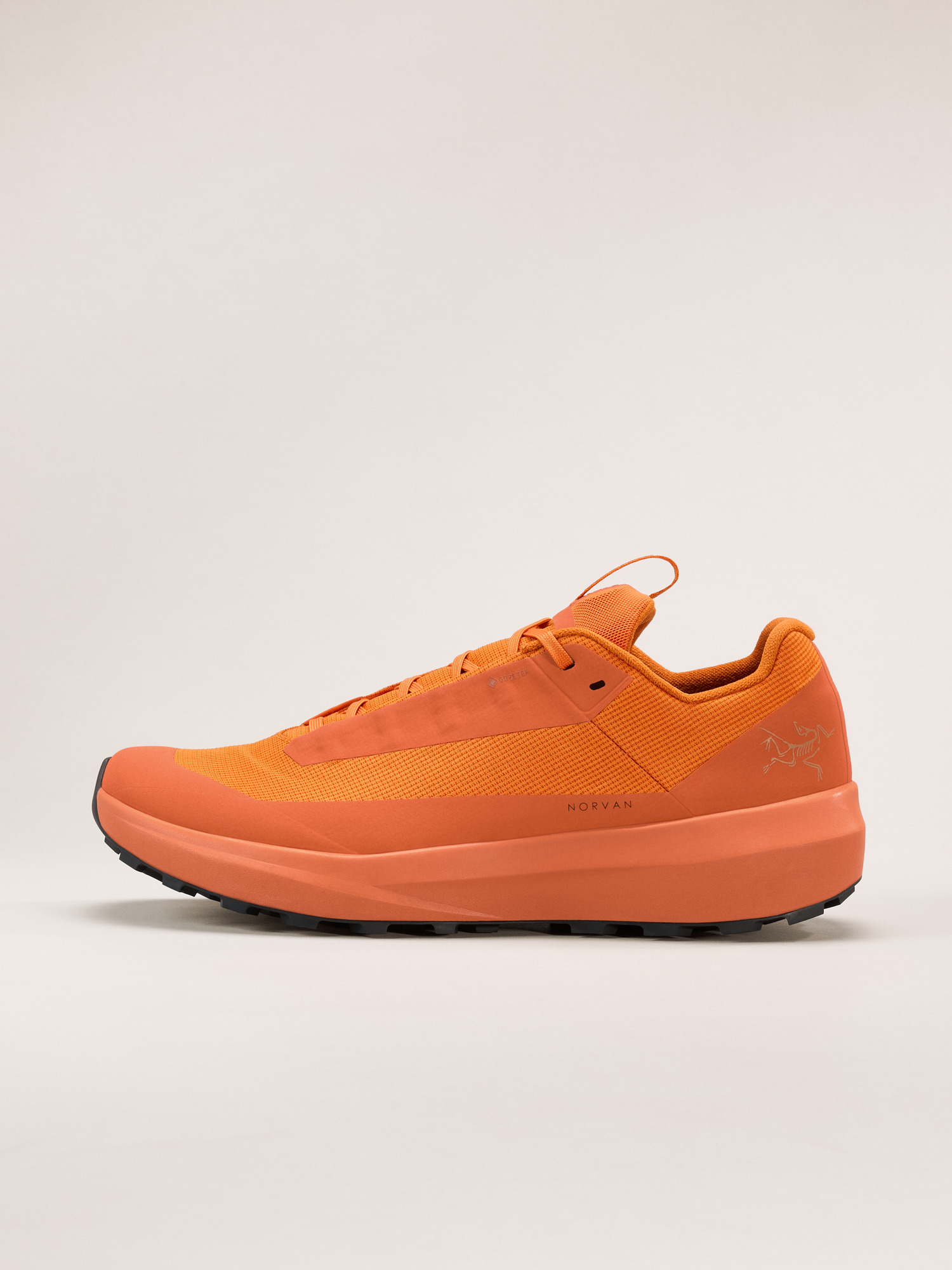 Arcteryx Norvan LD 4 GTX 男鞋 Copper Sky/Copper Sky 8.5