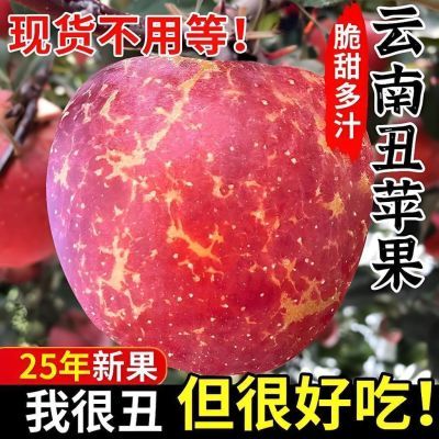 PDD热销产品汇总14点档更新2025/11/08