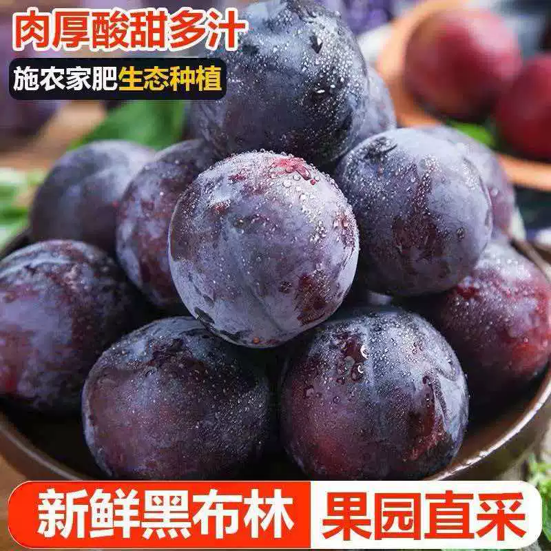 阿里自营黑布林李子5斤