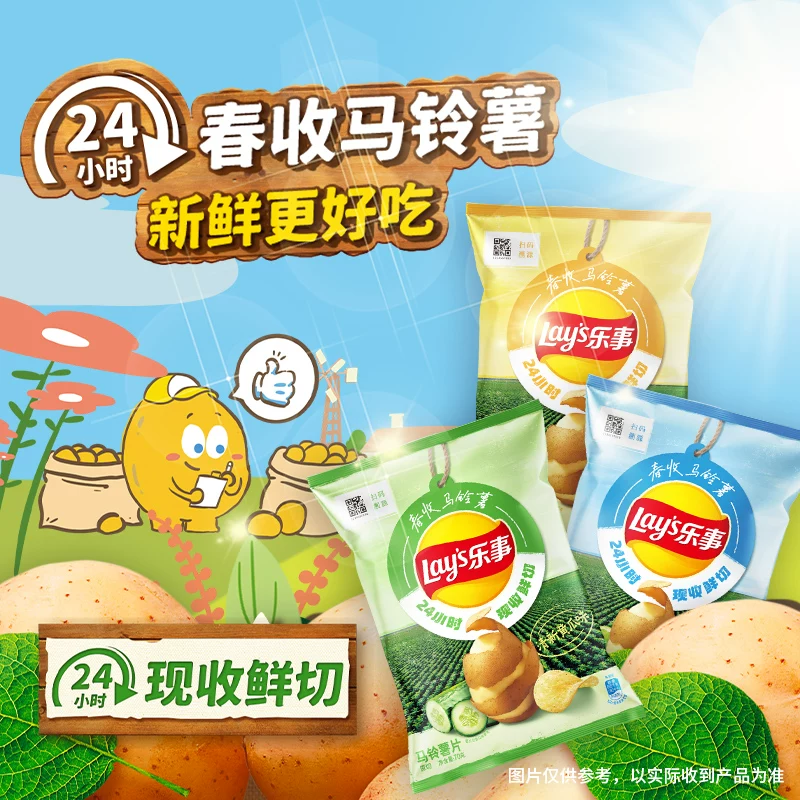 乐事薯片礼盒555g