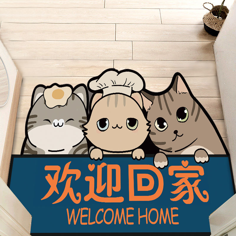 可自由裁剪进门网红进门地毯 80*1OOCM