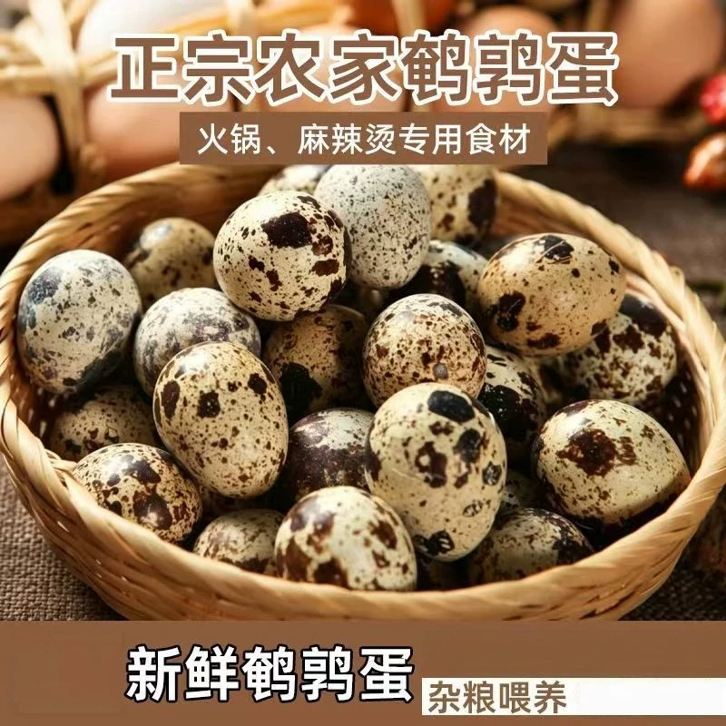 生鹌鹑蛋农家新鲜自产散养营养辅食口感丰富细腻泡沫防震发货