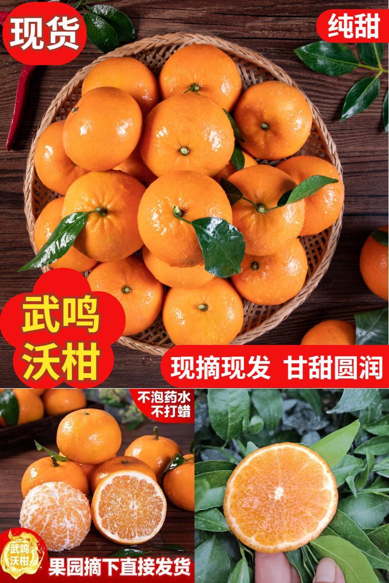 广西武鸣沃柑新鲜包邮