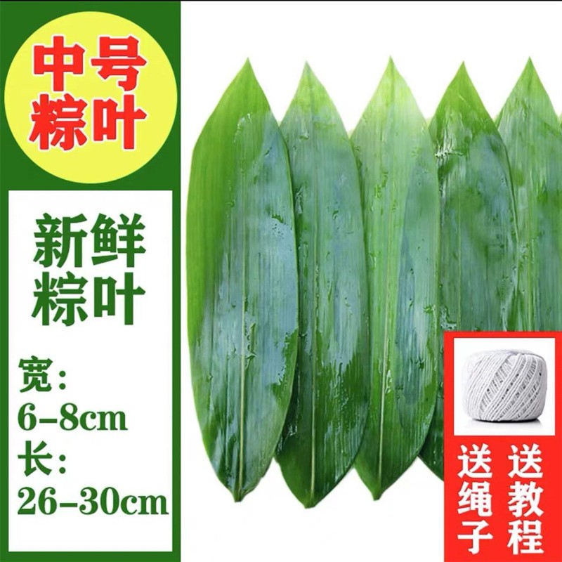 【旗舰店】京典光年 粽叶  中号50片装
