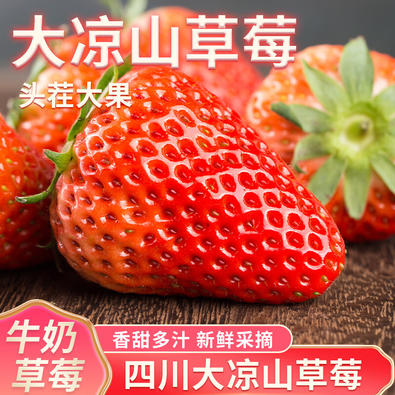 J东热销产品汇总08点档更新2024/01/17