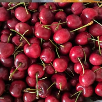 【美团】5斤2J的车厘子低至80+左右~