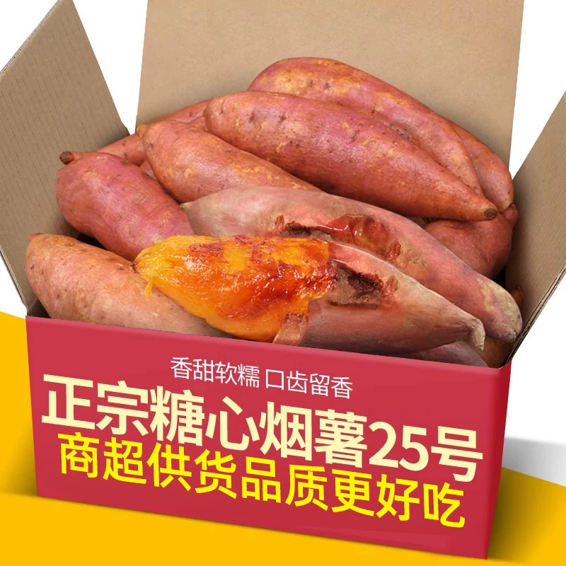 正宗山东糖心烟薯25号5斤蜜薯红薯新鲜番薯沙地烤地瓜农科院山芋