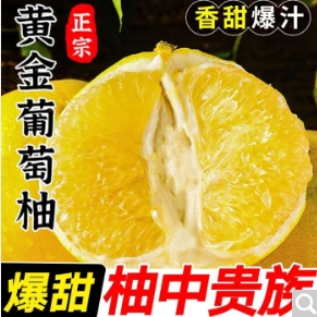 6.9元包邮！土八鲜 福建黄金葡萄柚5斤装