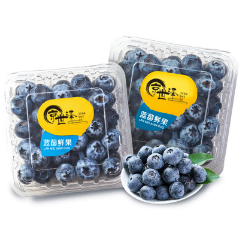 折8.3元/件！京世泽 云南当季蓝莓 1盒装 125g /盒 中果（需拍6件包邮）