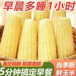 16.9元包邮！东北黄糯玉米8支（好评商家返1元）