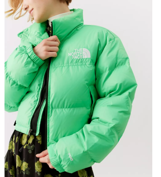 The North Face 1996 Retro Nuptse羽绒服