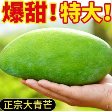 17.69元包邮！大青芒 特大大果5斤