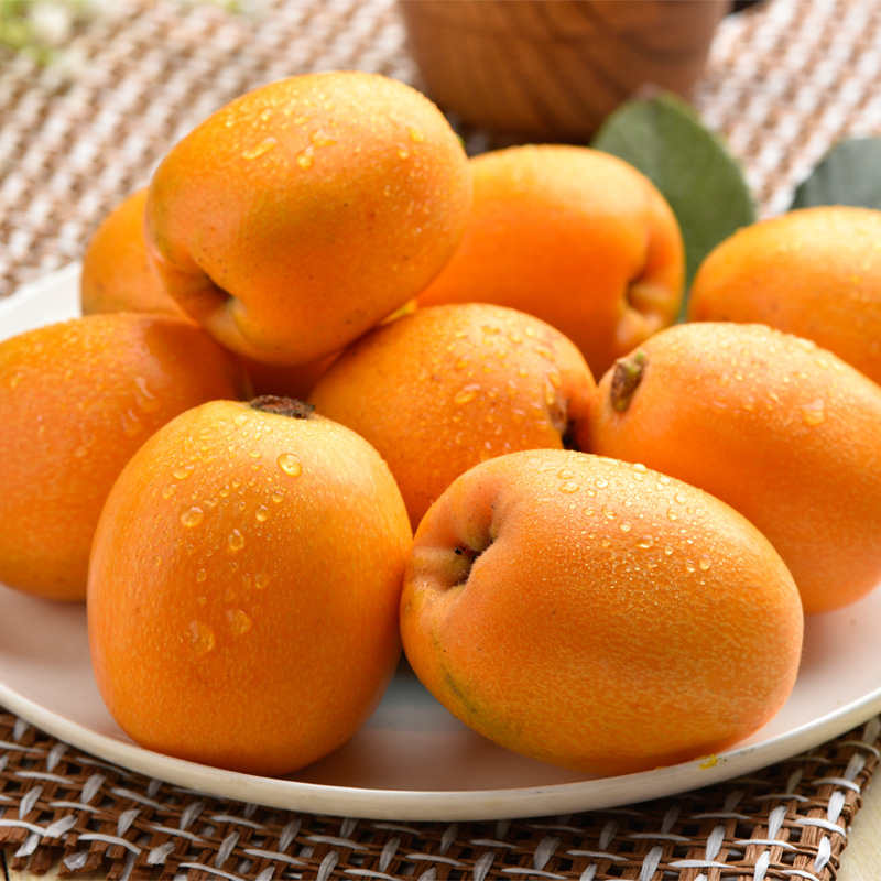 果园现摘大五星四川新鲜枇杷2斤