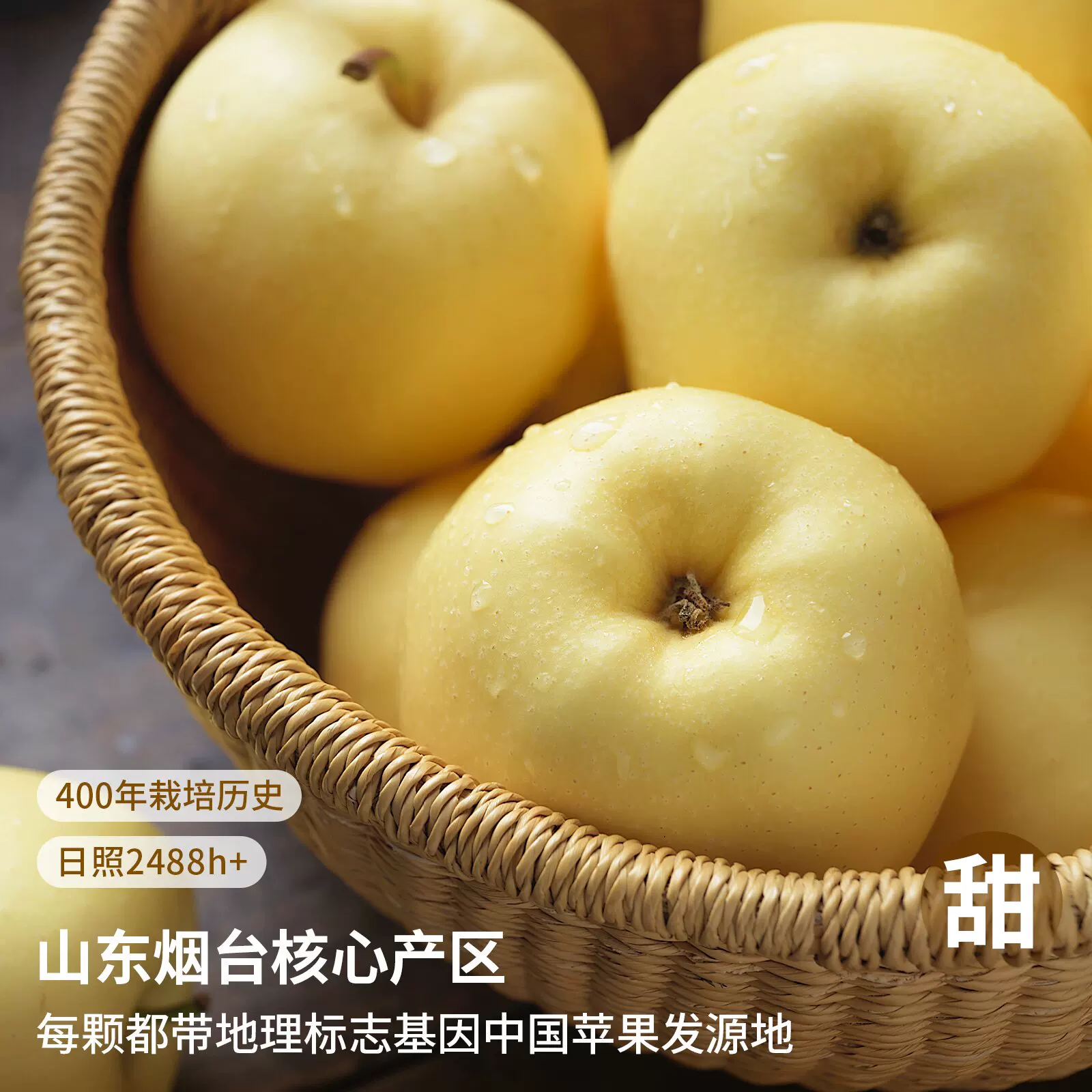 山东烟台黄金奶油富士苹果6颗