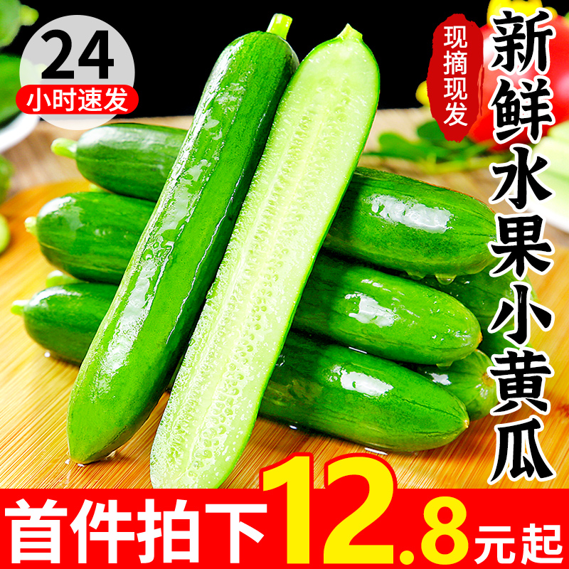 【甘福园】脆嫩小黄瓜3斤