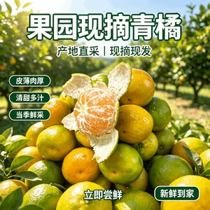 宜昌现采现摘早熟蜜橘新鲜橘子孕妇水果湖北云南青皮桔子