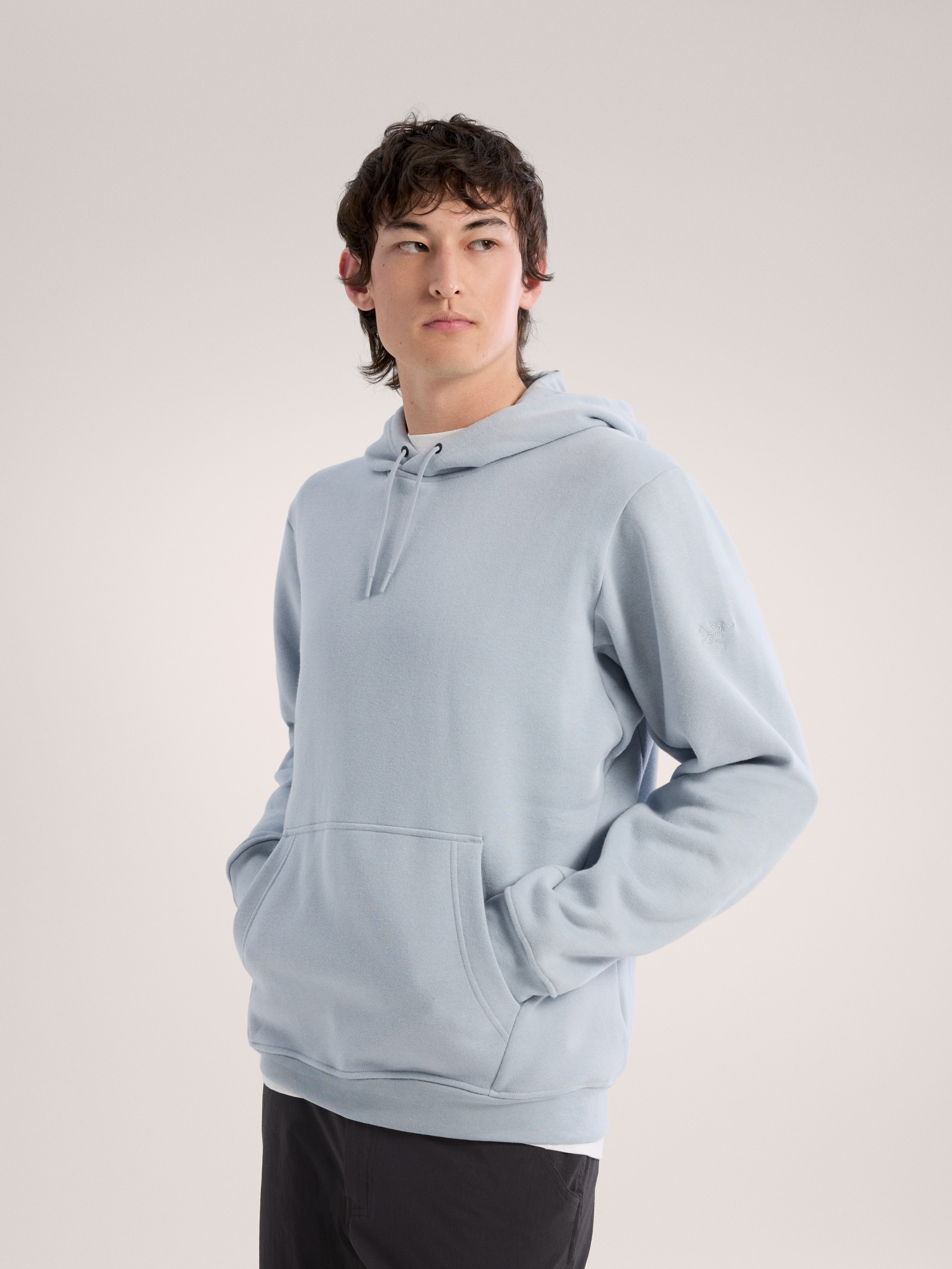 Arcteryx Emblem Fleece Hoody Men's