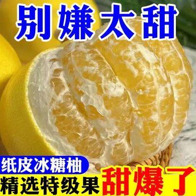 PDD热销产品汇总20点档更新2025/11/14