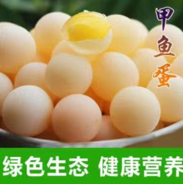 23.8元包邮！农家现挖甲鱼蛋 120枚