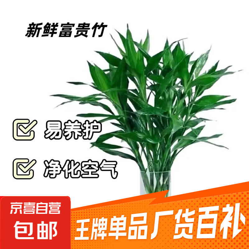 3.99 元抢带盆奶油草莓！还有水培富贵竹、一次性餐具超值合集