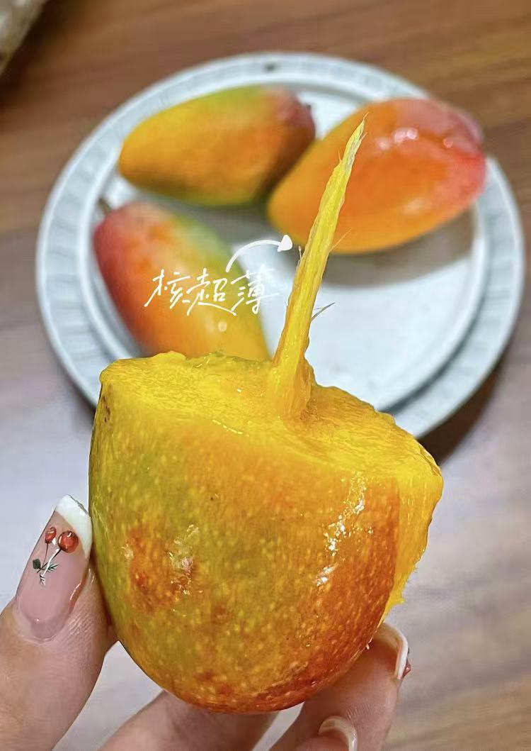 0_3