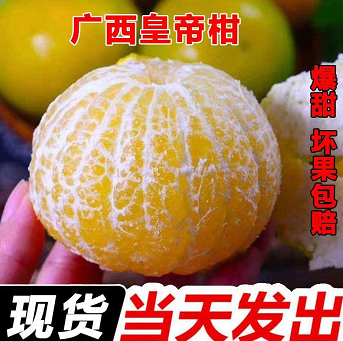 12.9元包邮！绿鲜森 新鲜现摘皇帝柑 五斤装精选小果