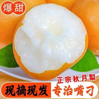PDD热销产品汇总02点档更新2023/08/19