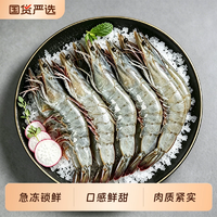 T猫热销产品汇总20点档更新2026/06/24