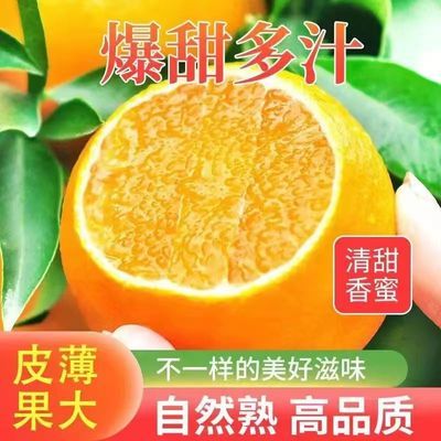 PDD热销产品汇总14点档更新2023/05/05