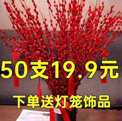 10.68元包邮！鲜支年宵花卉银柳带花带苞干花真花 国旗红10枝