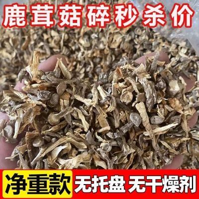 PDD热销产品汇总08点档更新2024/12/25