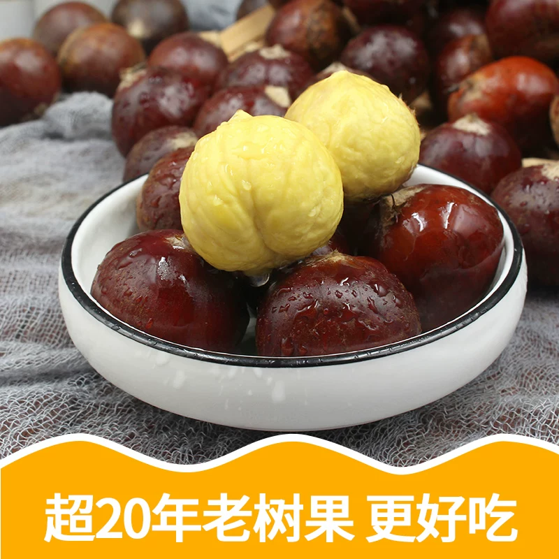 新鲜采摘丹东大个新鲜板栗生栗子当季油栗去壳锥蔬菜整箱