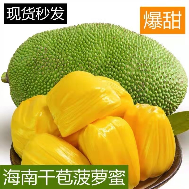 菠萝蜜新鲜水果海南三亚黄肉菠萝蜜
