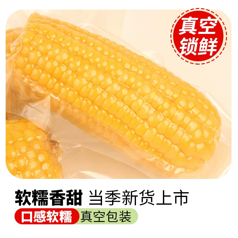 黄糯玉米真空包装10根共约2300g