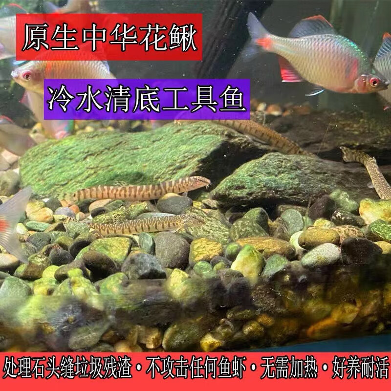 J东热销产品汇总14点档更新2025/05/27