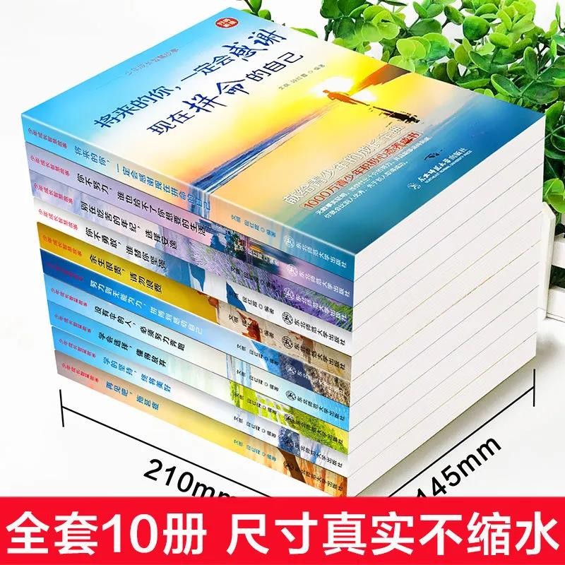 青少年正能量励志人生书籍 全套10册